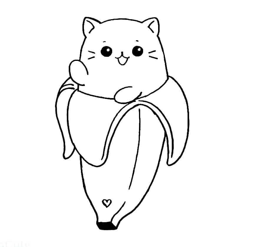 Lindo Gato de Plátano