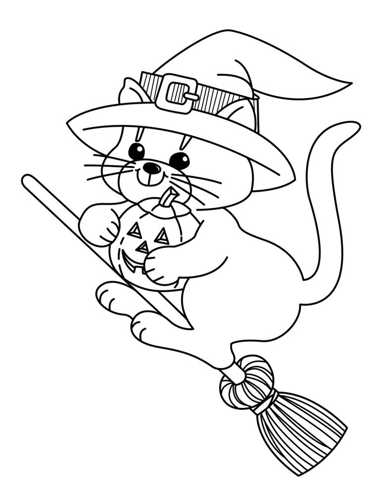 Lindo Gato La Bruja Voladora