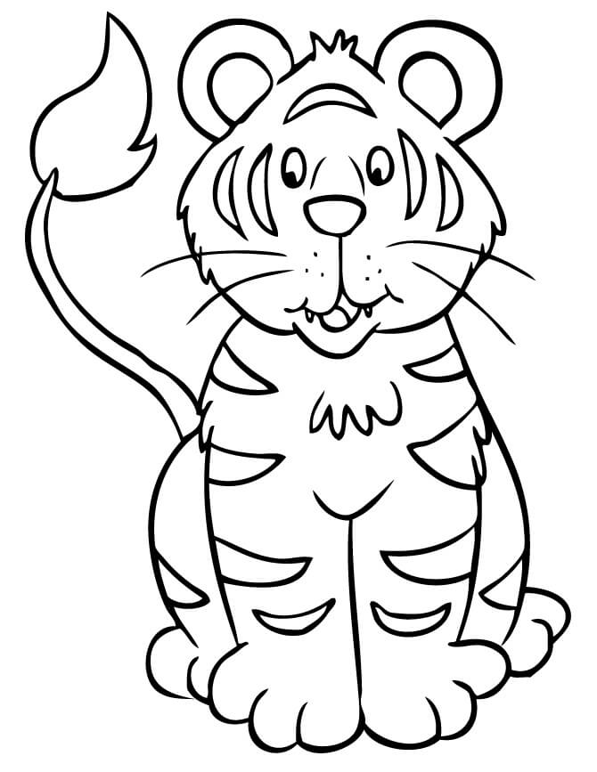 Lindo Tigre Sentado