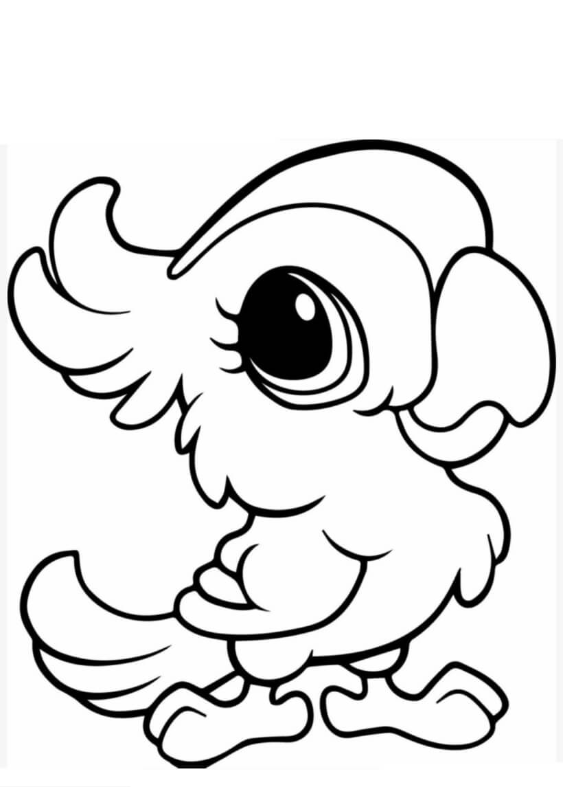 Loro Básico de Dibujos Animados
