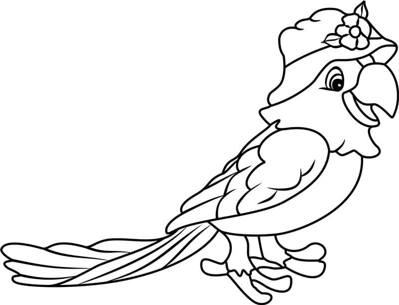 Loro de Dibujos Animados