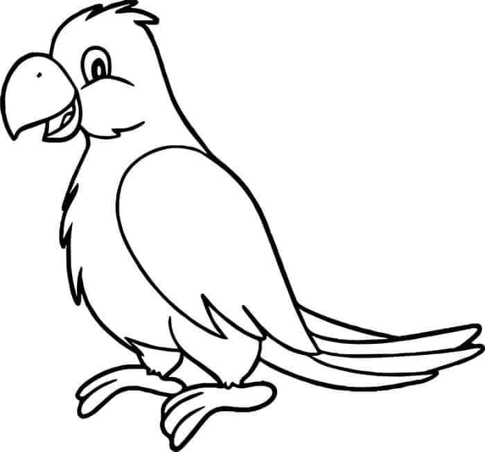 Loro Divertido