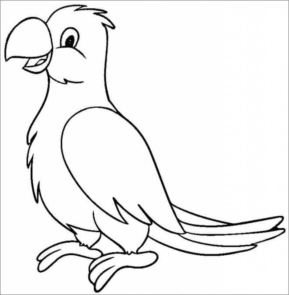 Loro Imprimible