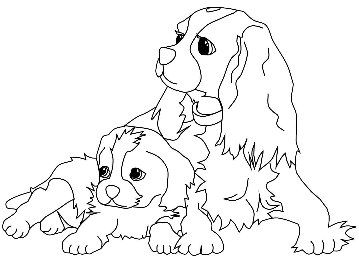 Madre Perro y Cachorro