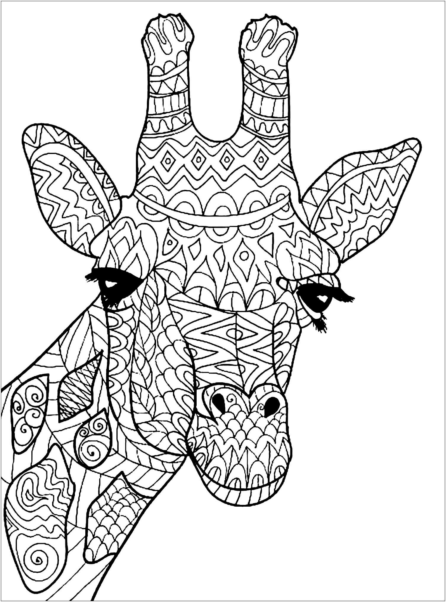 Mandala de Cabeza de Jirafa