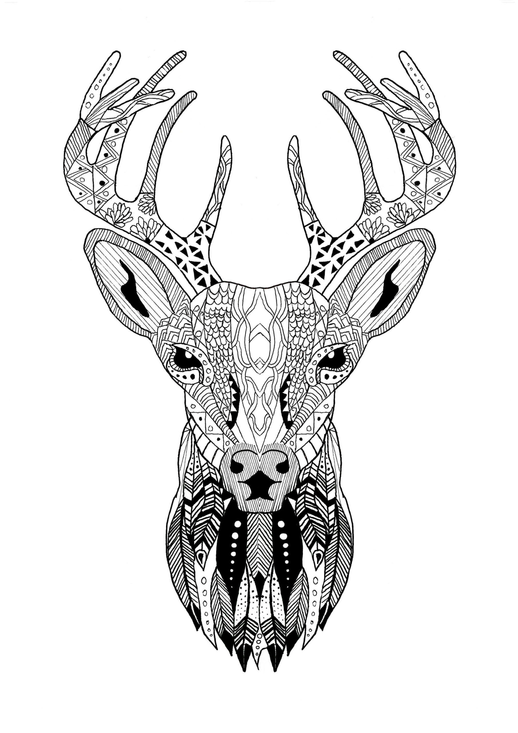 Mandala de Cara de Reno