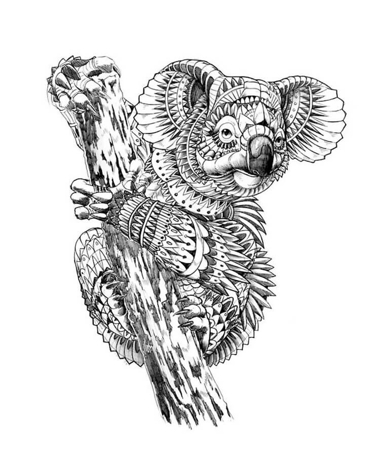 Mandala Koala