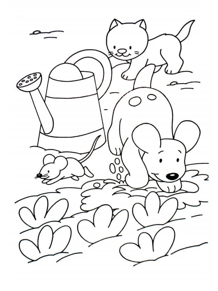 Mascotas En El Jardín