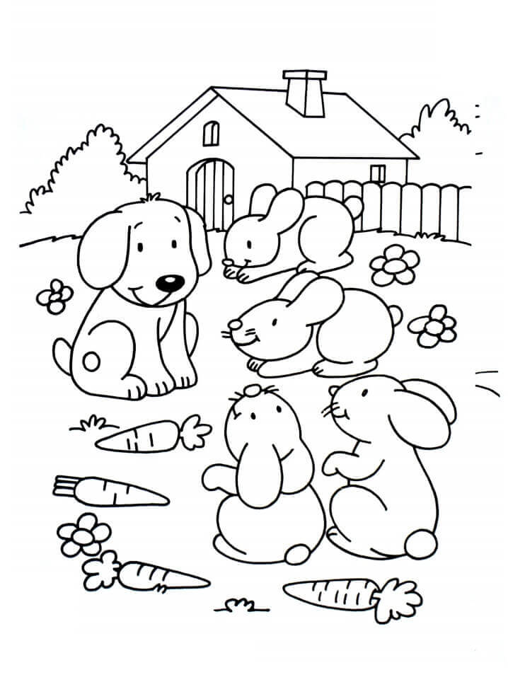 Mascotas Perros y Conejos