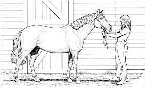 Caballo