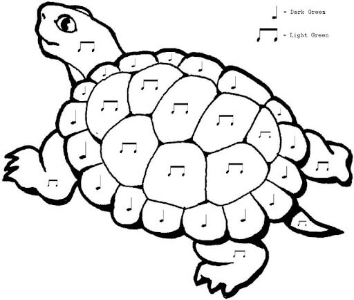 Notas Musicales en Tortuga