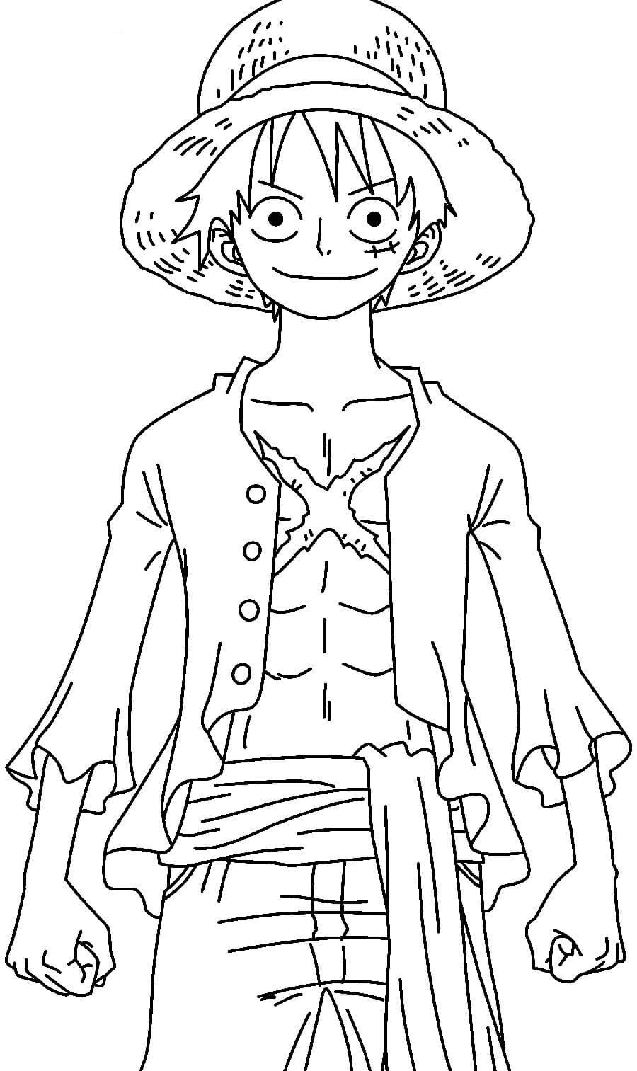 One Piece Luffy Después De 2 años