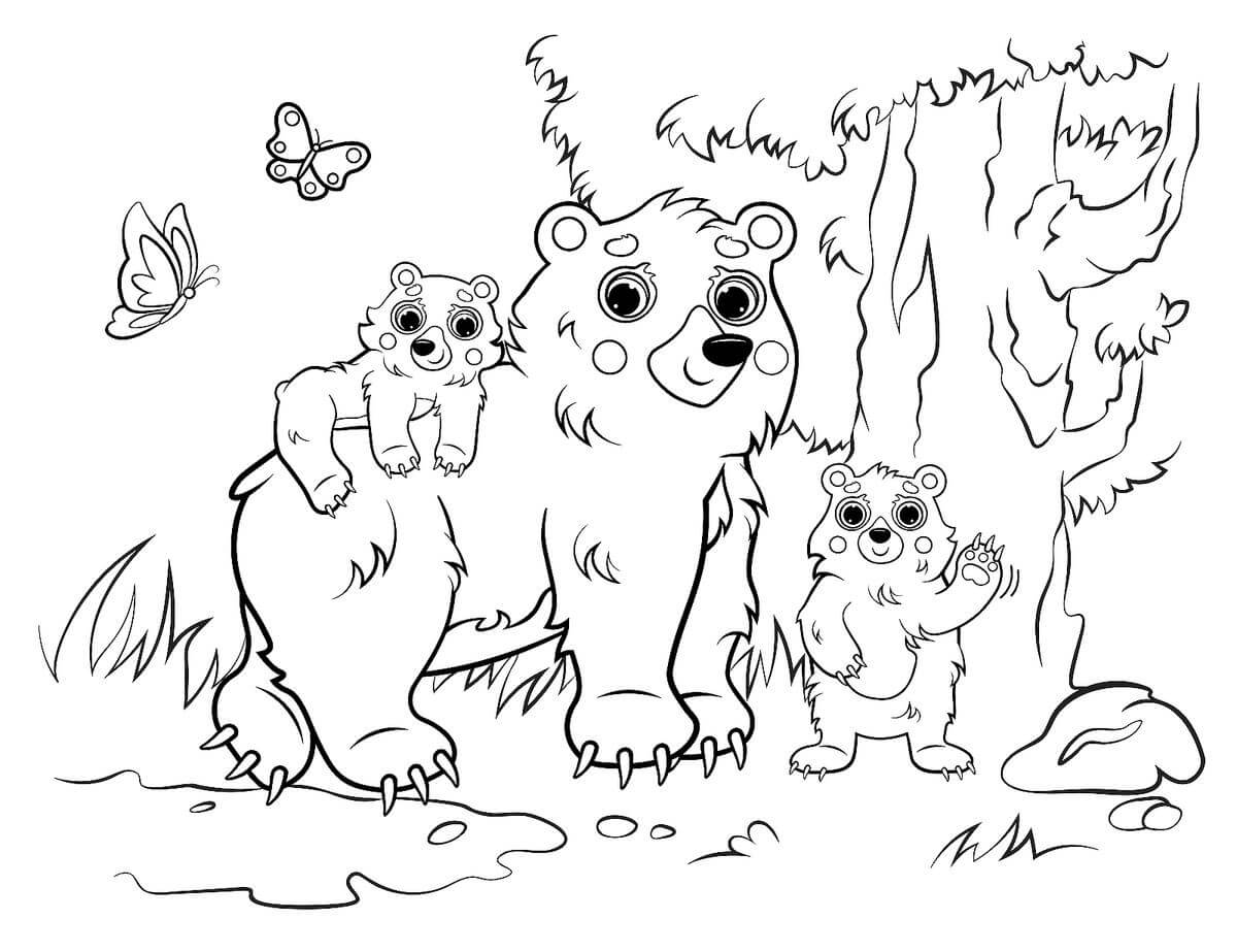 Oso de la Familia