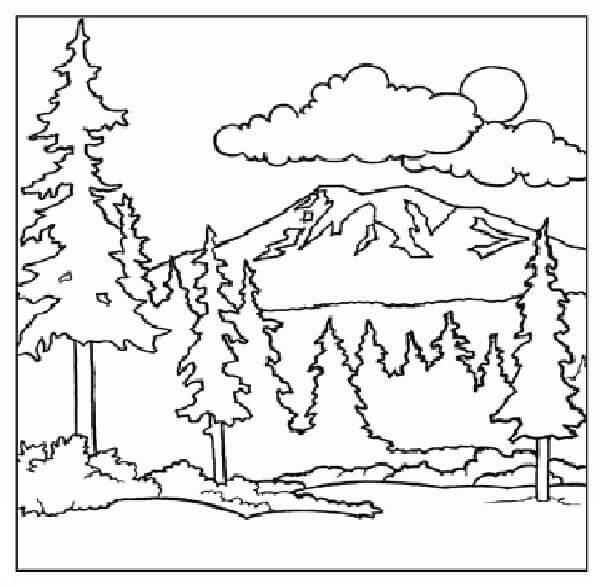 Paisaje De Montaña