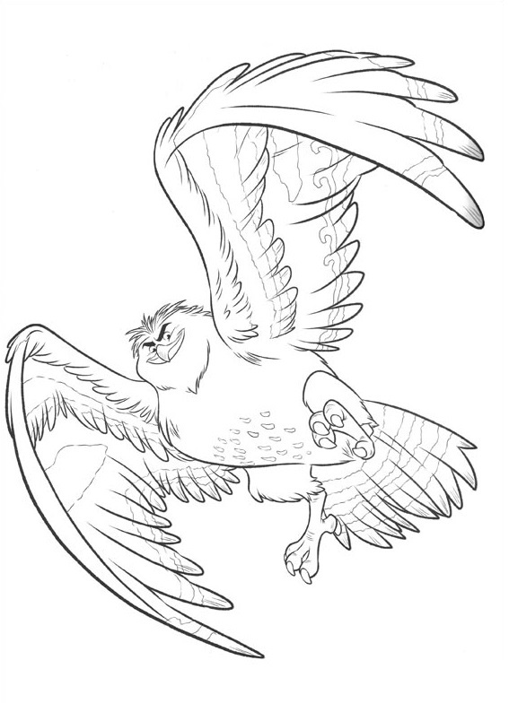 Pájaro de Maui