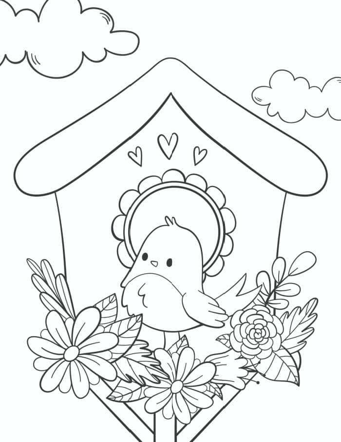 Pájaro en Primavera