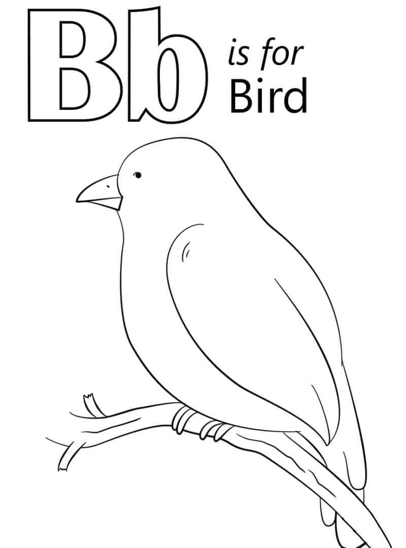Pájaro, Letra b