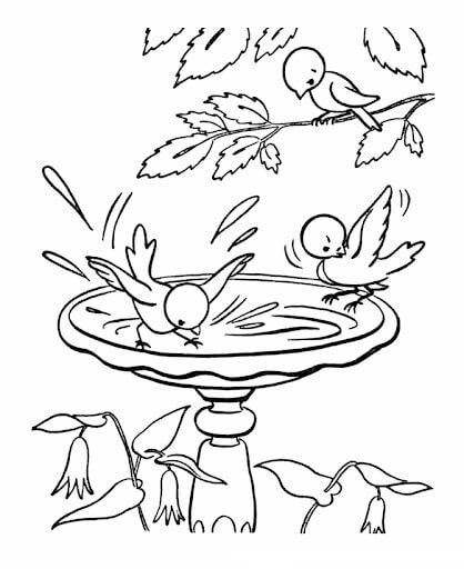 Pájaro y Agua en Primavera