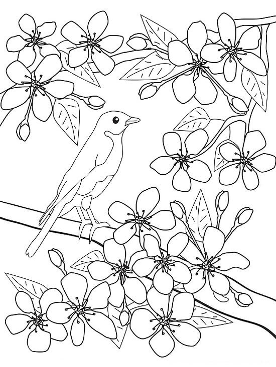 Pájaro y Flor en Primavera
