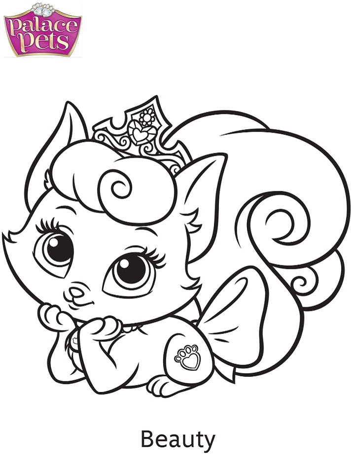 Palace Pets Beauty