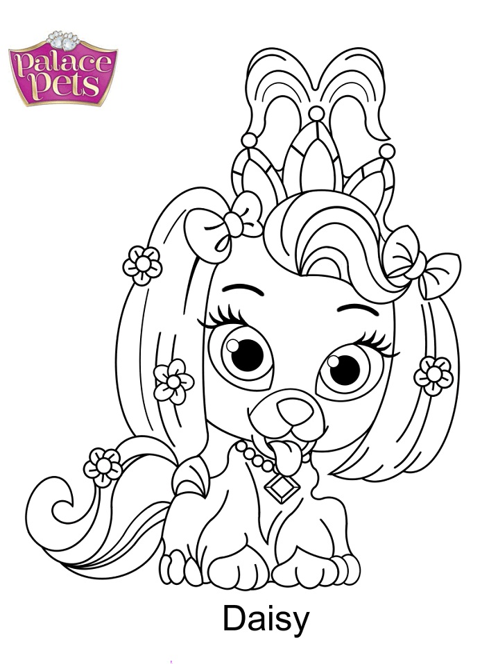 Palace Pets Daisy