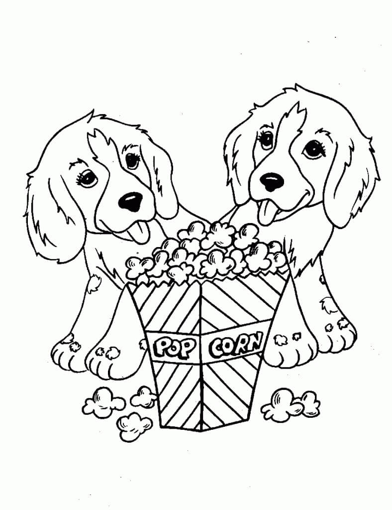 Paquete De Dos Perros Y Palomitas De Maíz