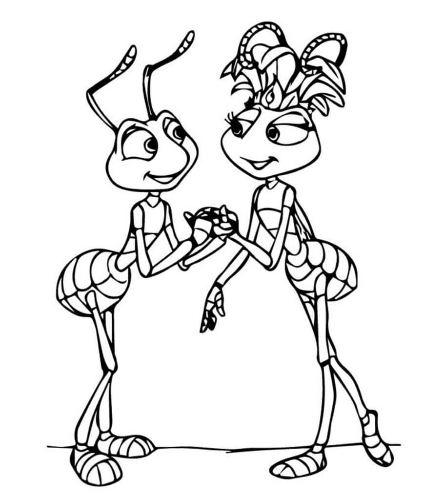 Pareja de Hormigas