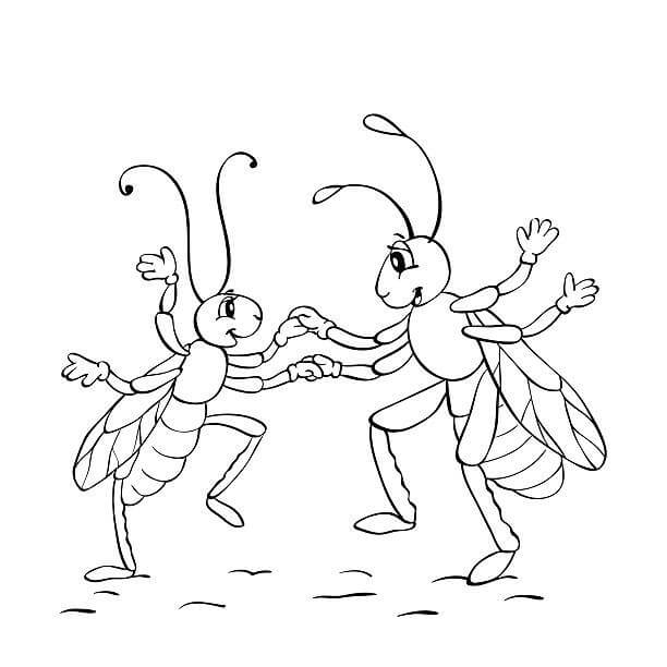 Pareja feliz Hormigas