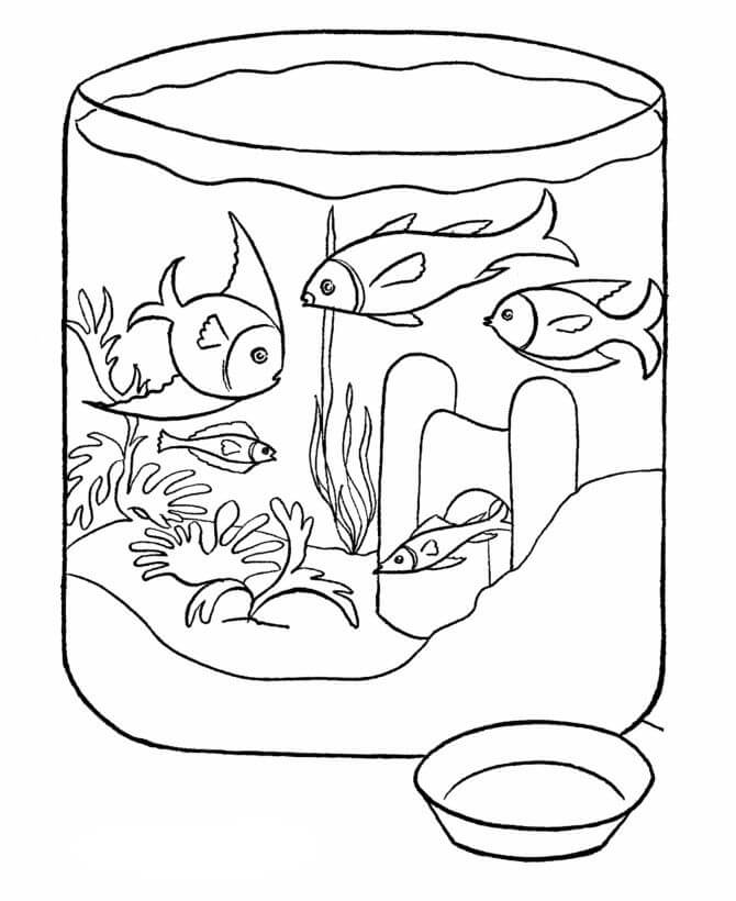 Peces De Cultivo
