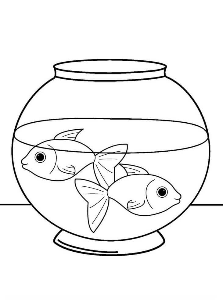 Peces Mascota