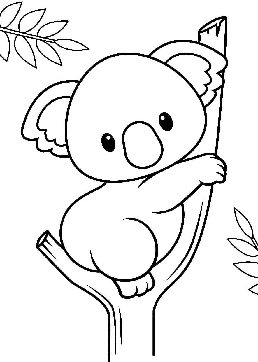 Pequeño Koala