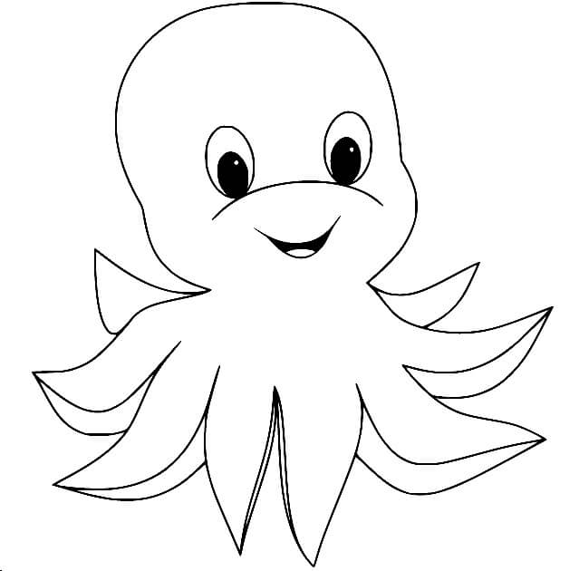 Pequeño Pulpo Esponjoso