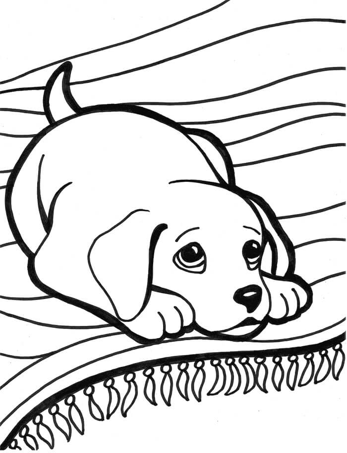 Perro Acostado
