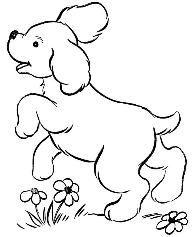 Perro Con Flores