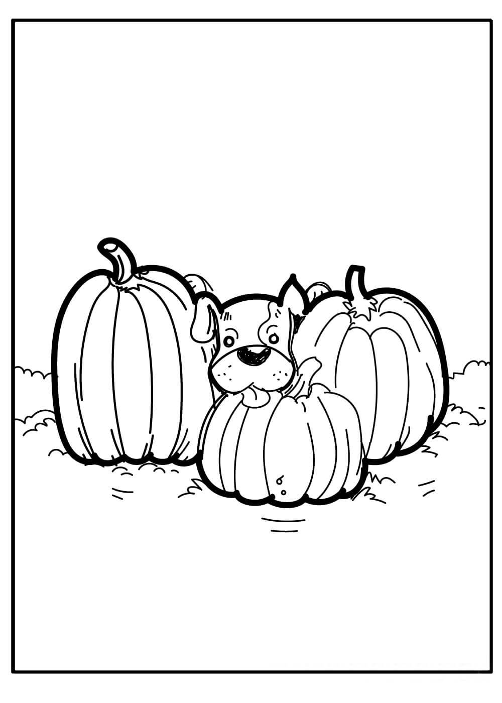 Perro con tres Calabazas