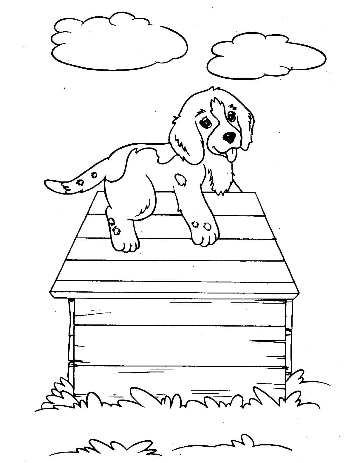Perro en la Caseta del Perro