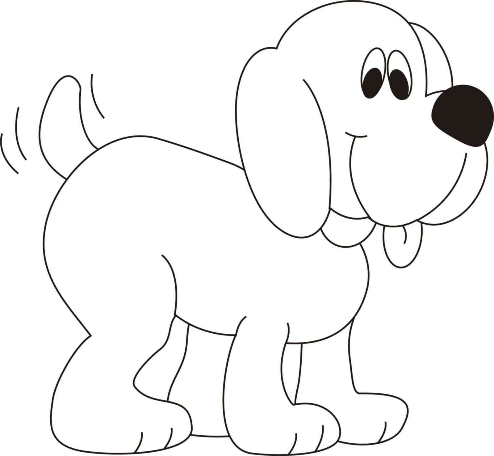Perro Gracioso