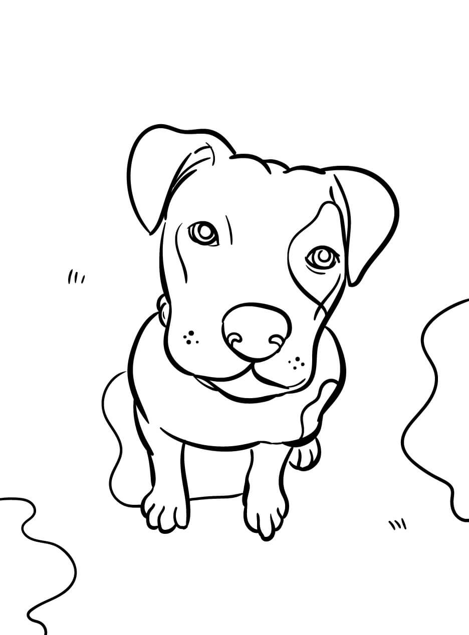 Perro Grande