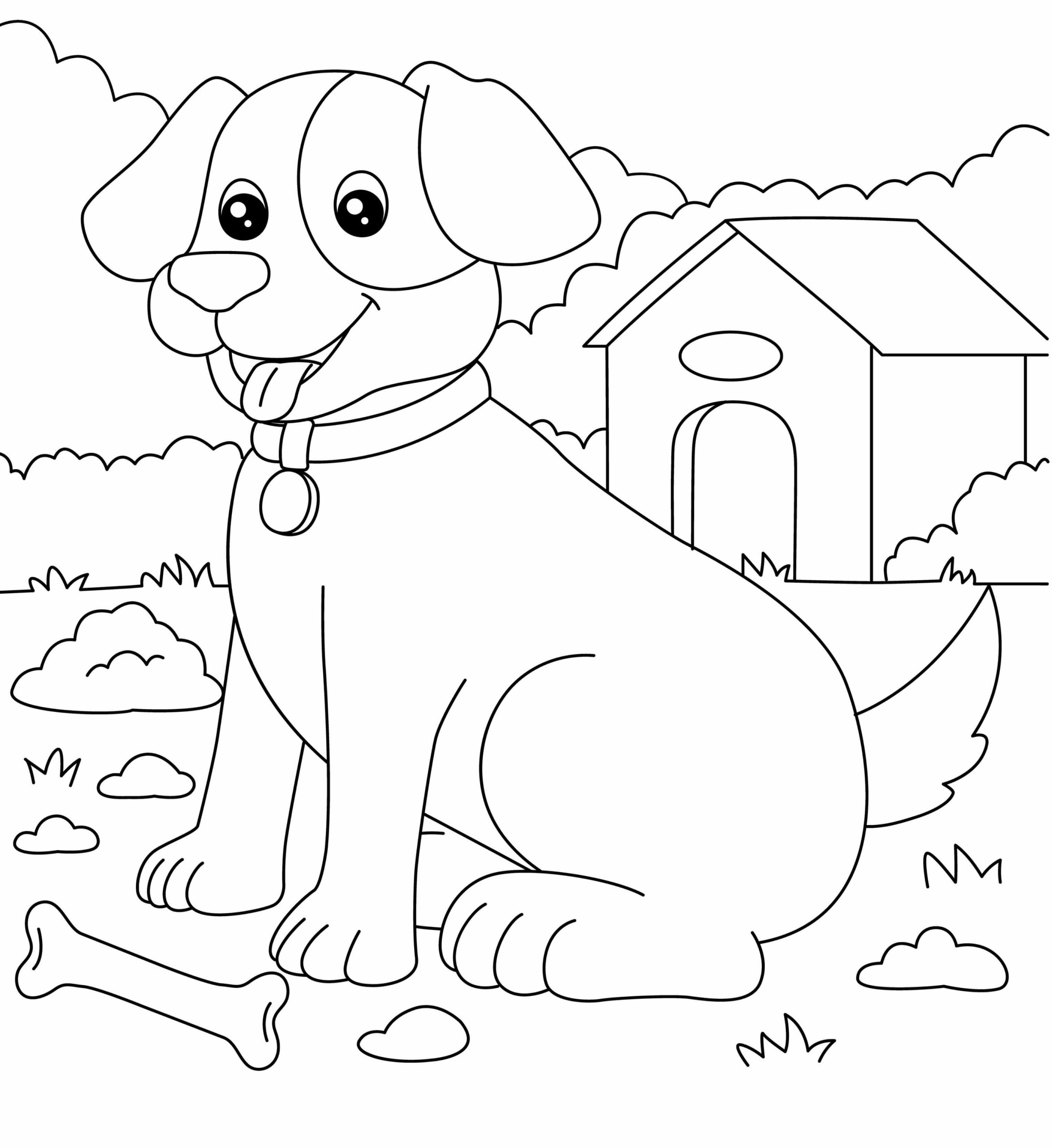 Perro Huesudo y Perro Doméstico