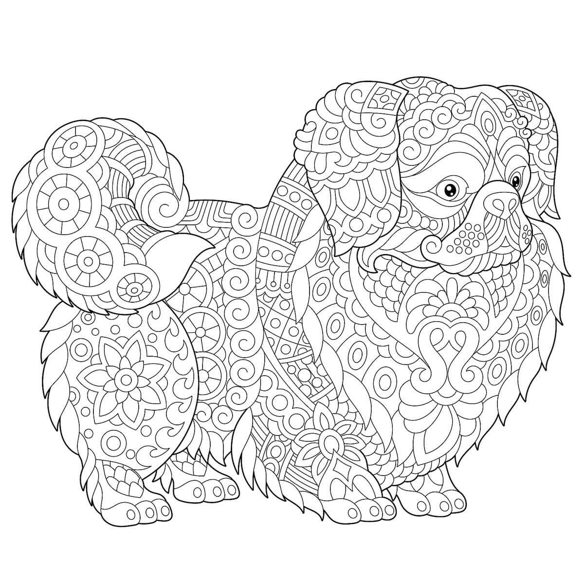 Perro Mandala