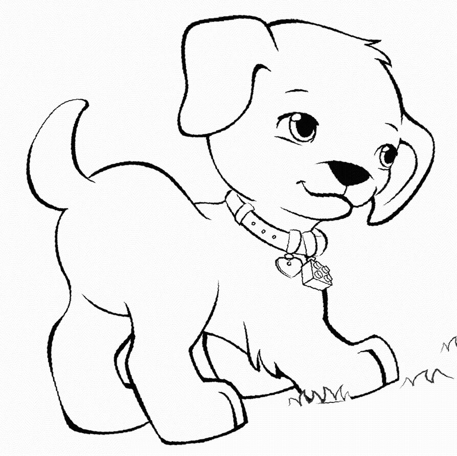 Perro Mascota