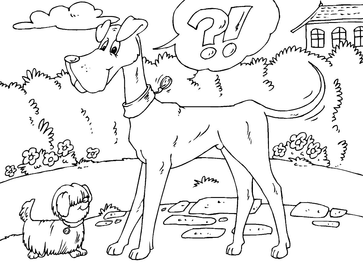 Perro Pequeño Y Perro Grande