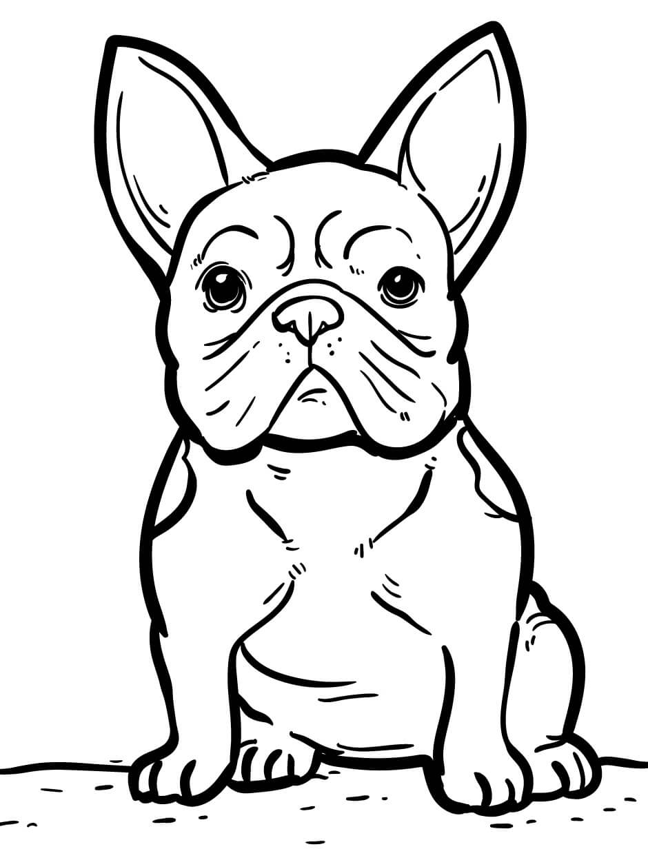 Perro Pug Sentado