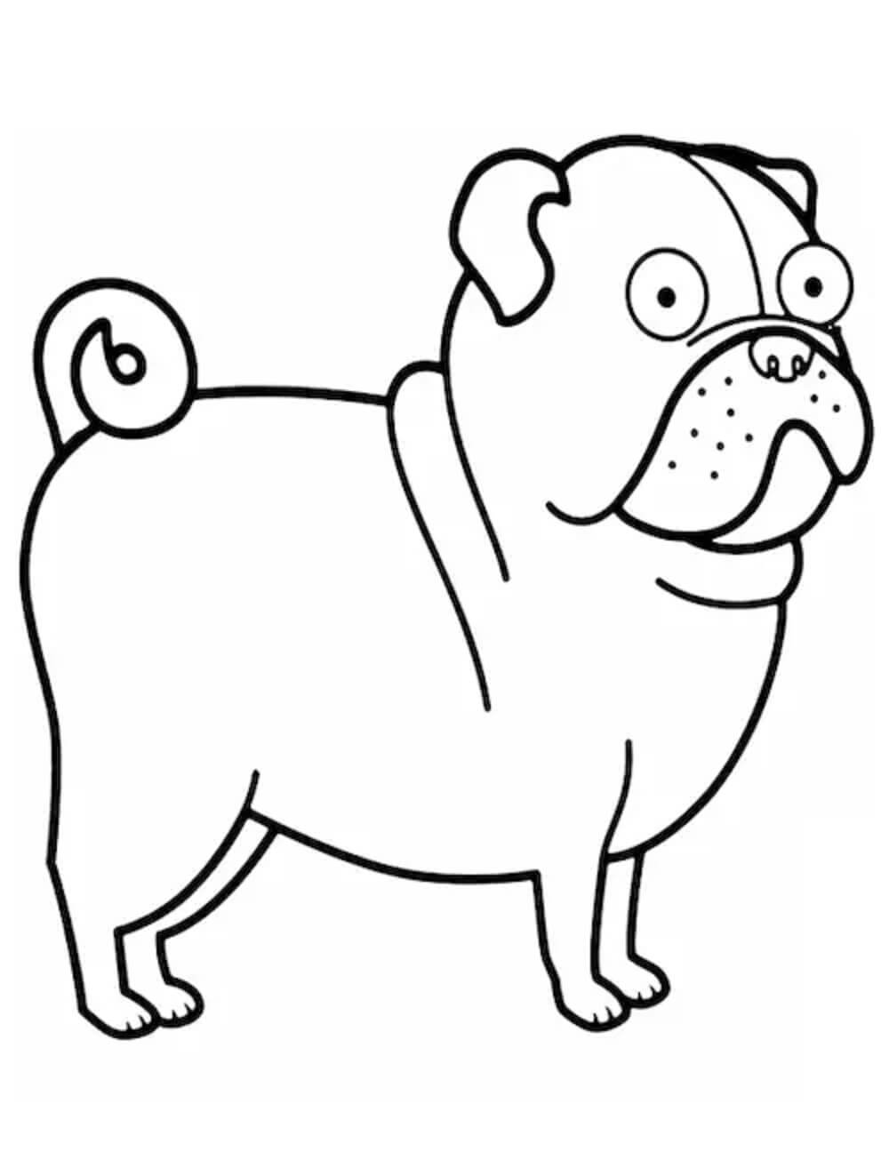 Perro Pug