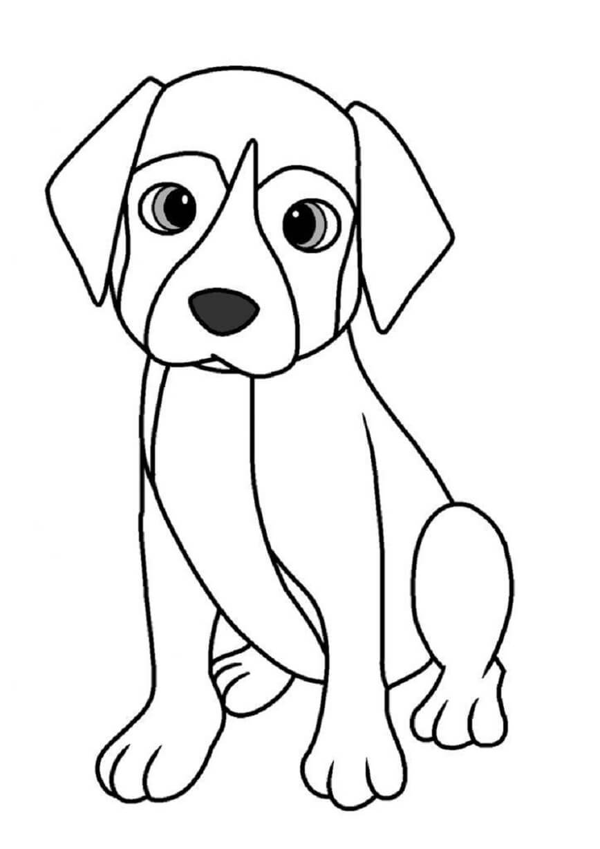 Perro Sencillo