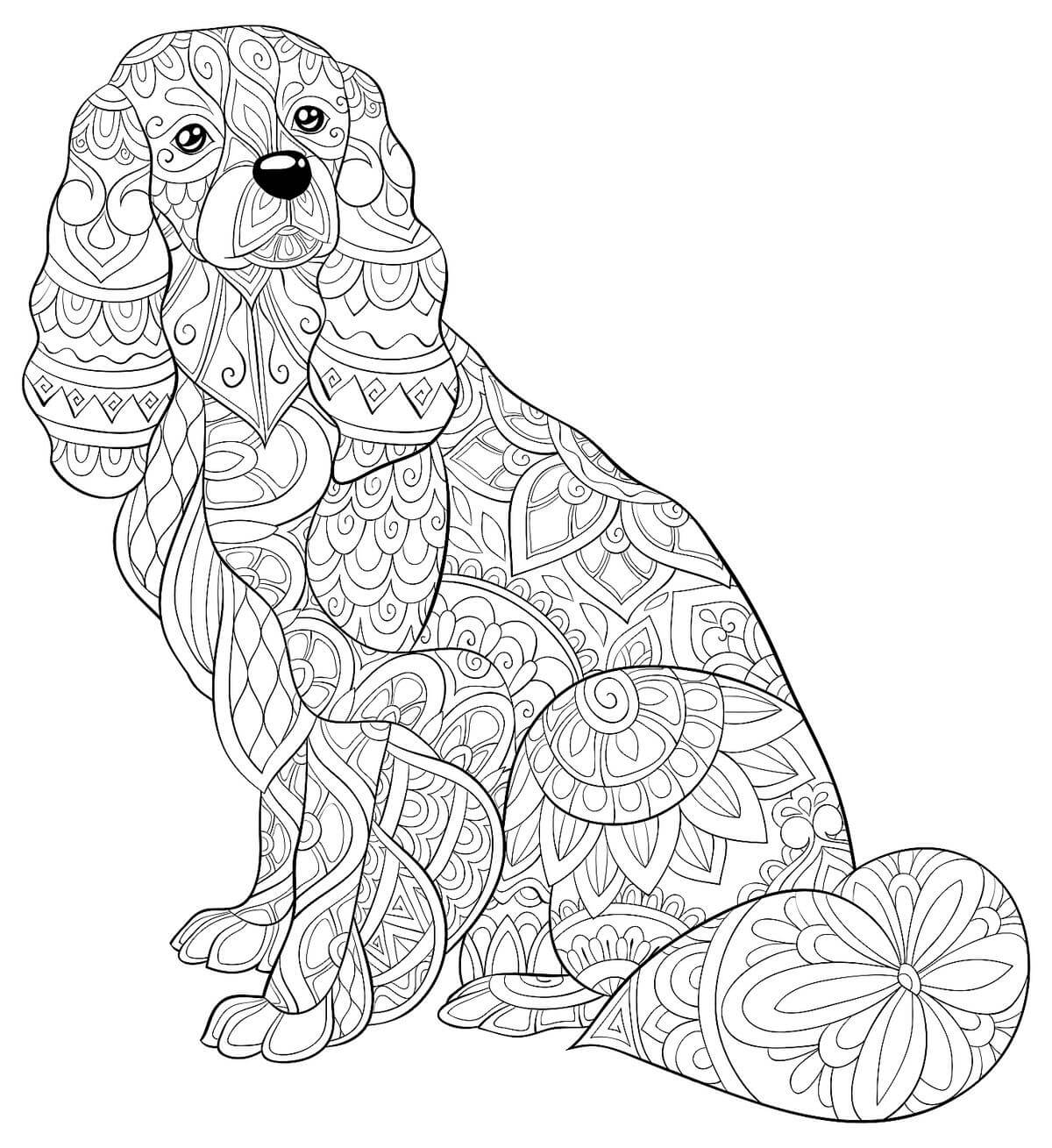 Perro Sentado Mandala