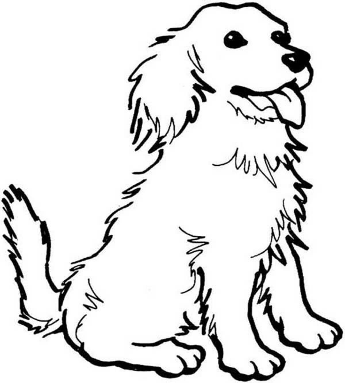 Perro Sentado