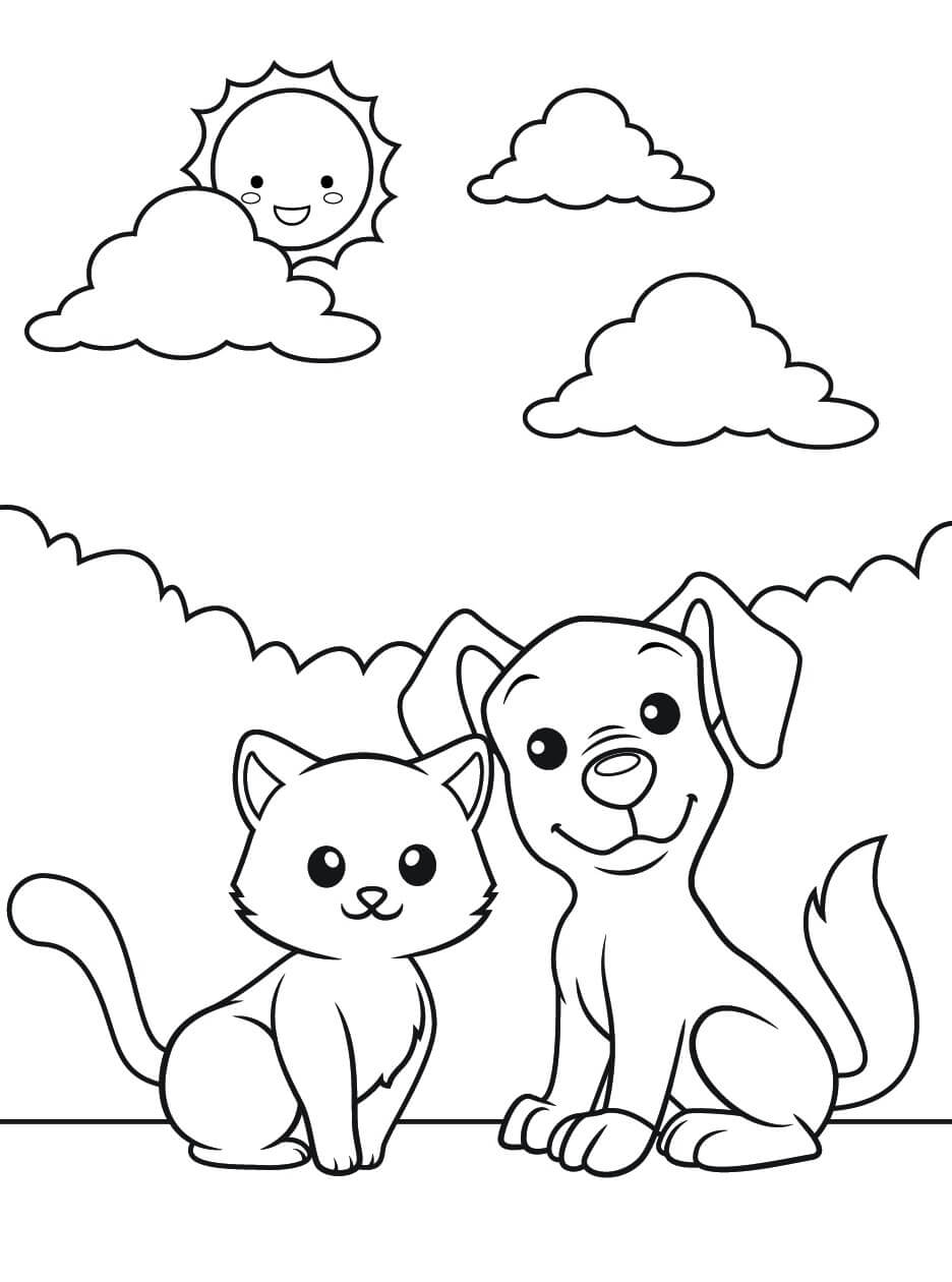 Perro y Gato