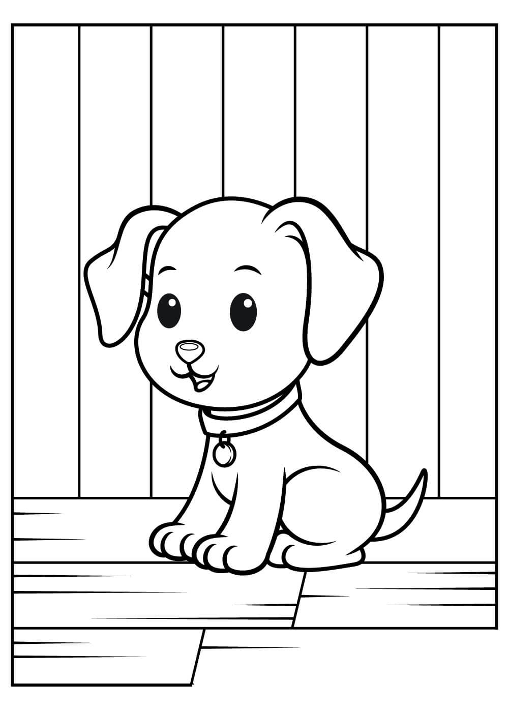 Perro