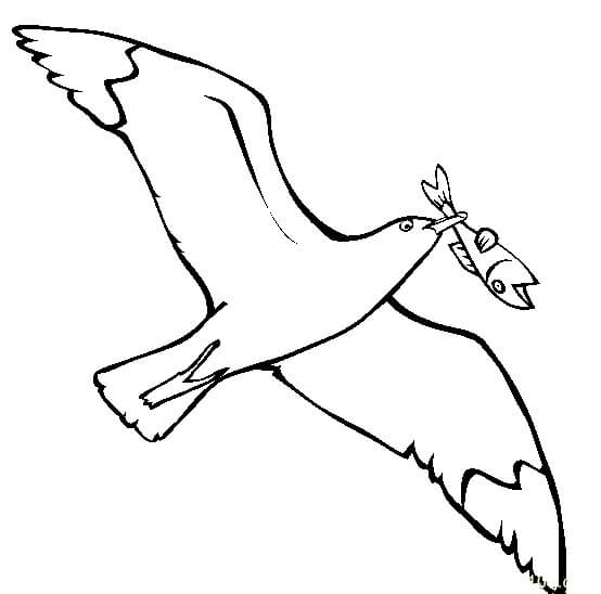 Pesca de Gaviotas